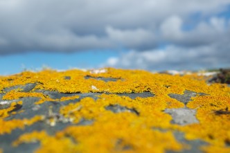 DSCF6622